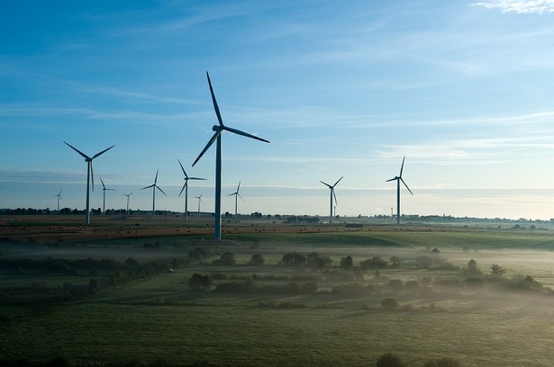 Grupa Tauron zbuduje farmę wiatrową Sieradz o mocy 24 MW do końca 2025 r.