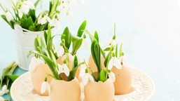 wiosenna przerwa świąteczna 2026. kiedy uczniowie mają wolne na wielka