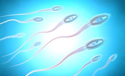 Wirusolog: COVID-19 może osłabić męską płodność. Czy to stan przejściowy?