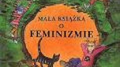 Mała książka o feminizmie. Fragment książki