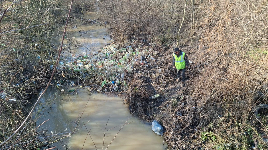 Potraga za nestalom Milicom Asanović
