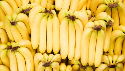 Banánokban találták meg Európa egyik legnagyobb drogfogását