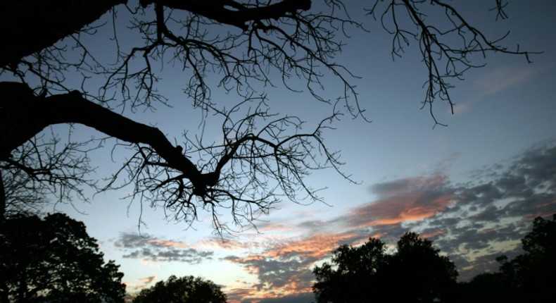 The Selous Game Reserve was designated a UNESCO World Heritage Site in 1982 as one of Africa's last remaining wildernesses. It was named after an Englishman, Frederick Selous, who died in 1917 while fighting in World War I.