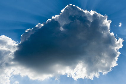 Polska chmura dla światowych marek. Czym zajmują się inżynierowie Google'a z Warszawy?