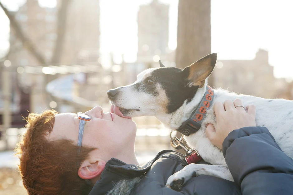 Pored zagrljaja padne i neki poljubac (FOTO: Sarah Ernhart)