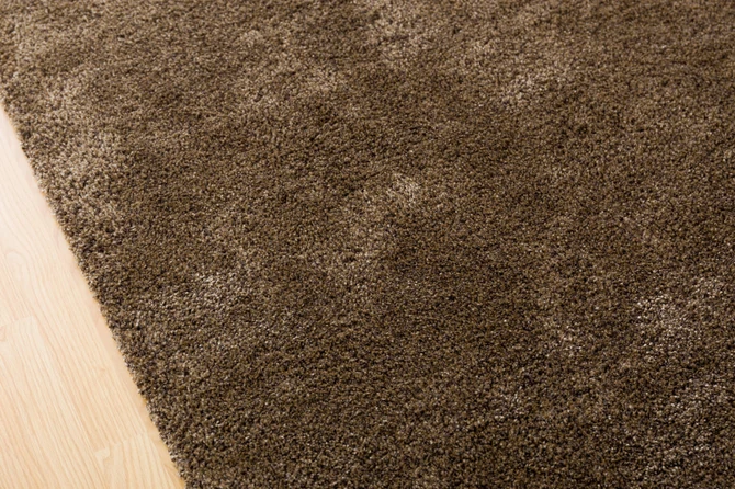 Tepih je izvor prljavštine