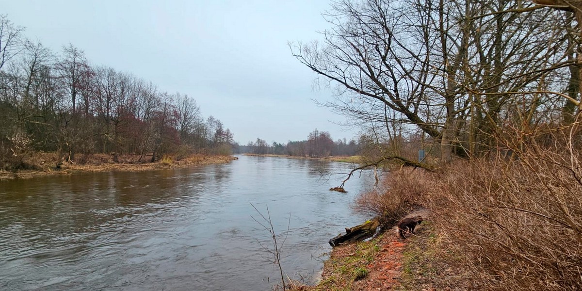 Jak wygląda prognoza hydrologiczna IMGW? 