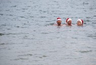 GERMANY TRADITION CHRISTMAS SWIMMING