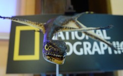 "Wyglądał jak skrzyżowanie węża, nietoperza i polatuchy". Polscy naukowcy znaleźli szczątki gada sprzed 230 mln lat