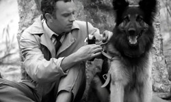 Jeden z najsłynniejszych psów PRL. QUIZ o "Przygodach psa Cywila". Sprawdź się!