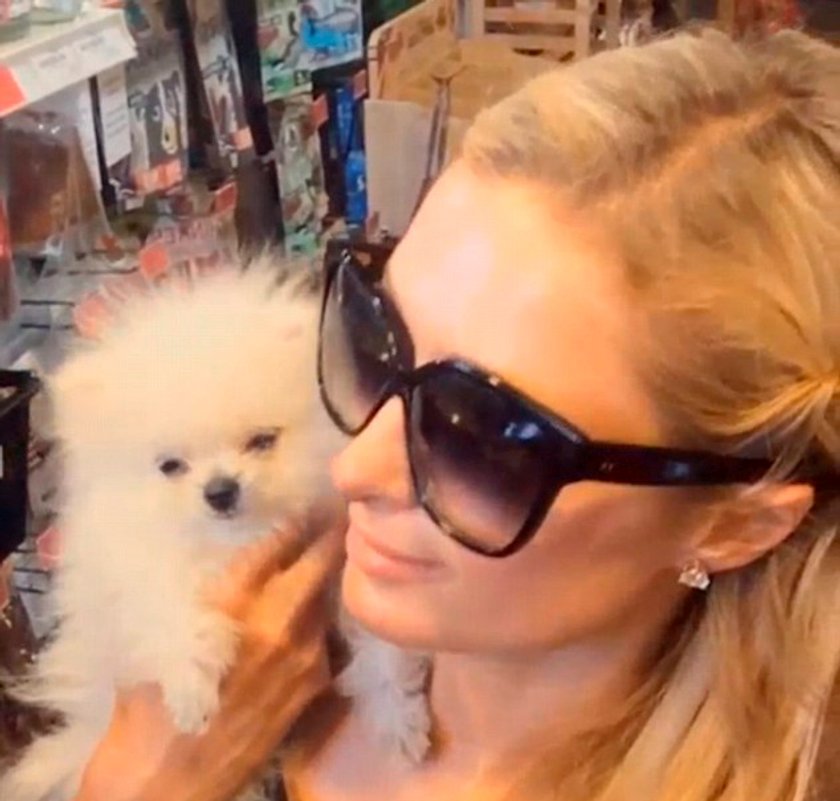 Paris Hilton ze swoim pieskiem Princem Hiltonem