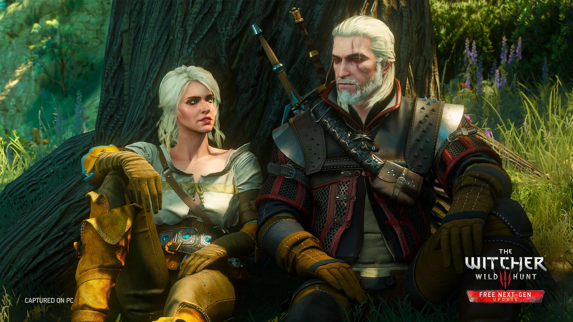 Obrázok z hry The Witcher 3.