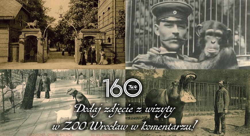 Wrocławskie zoo ma 160 lat