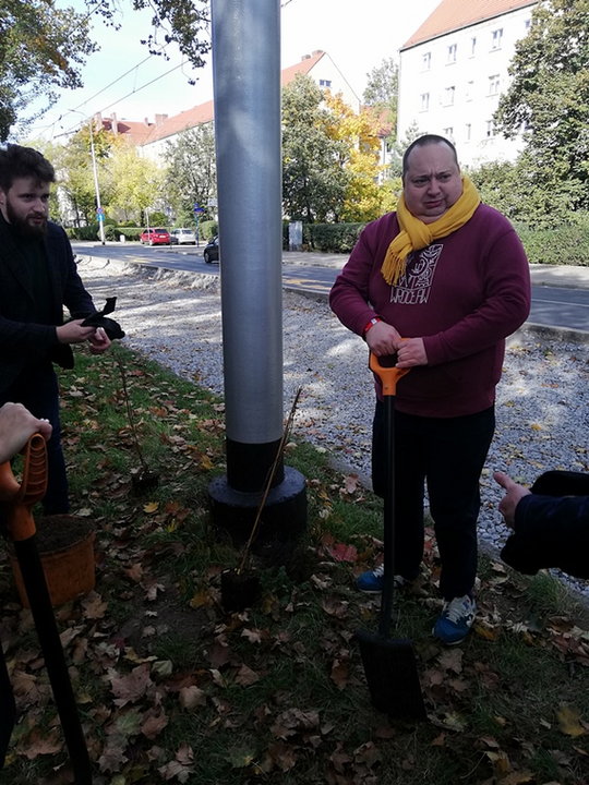 Zielone słupy trakcyjne we Wrocławiu