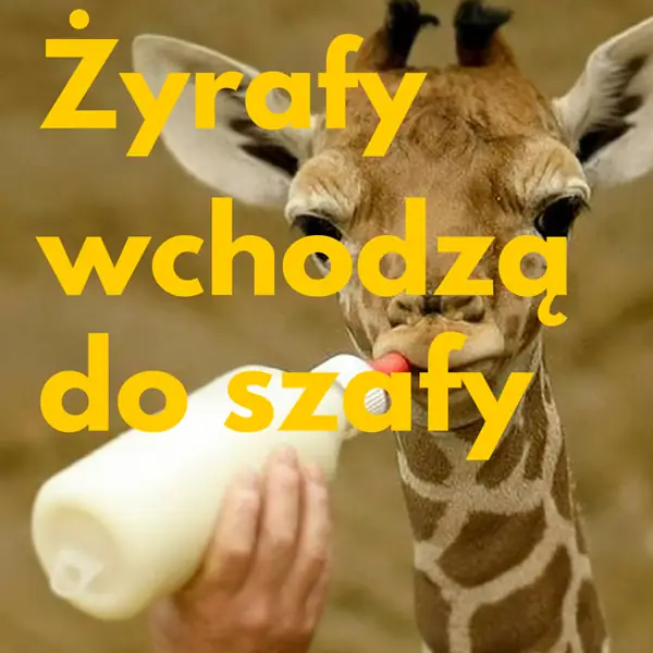 Żyrafy