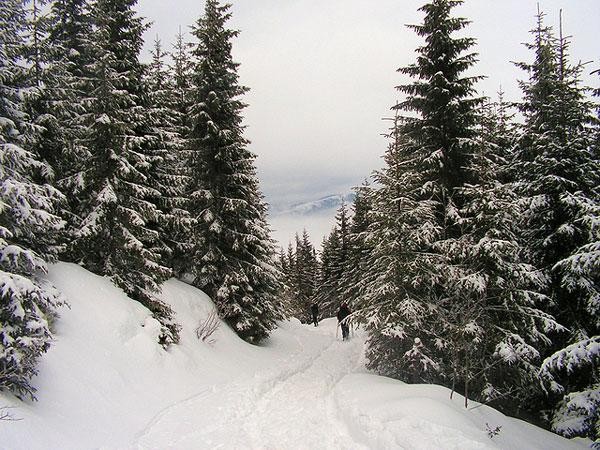 Galeria Rumunia - Alpy Rodniańskie, obrazek 20