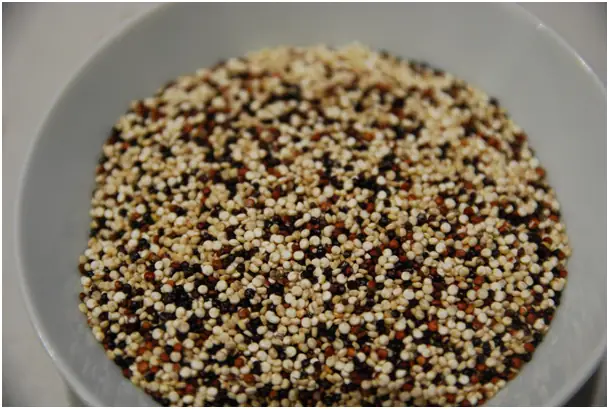 quinoa