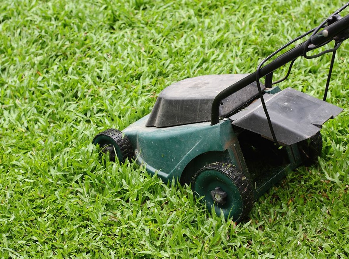 Kosiarka do trawy
