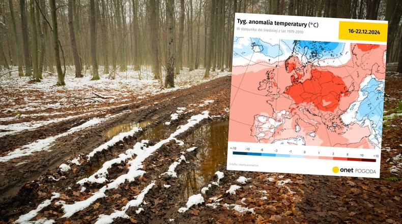 Pogoda niedługo stanie na głowie. Takie temperatury to rzadkość (mapa: charts.ecmwf.int)