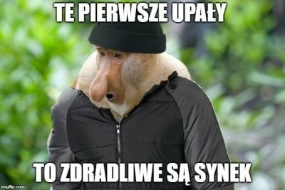 Najlepsze memy o kwietniu