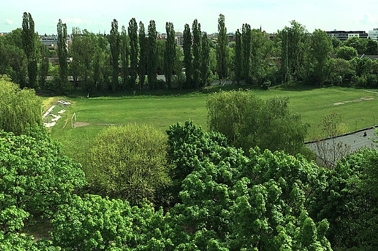 Kępa Mieszczańska. Oaza spokoju w centrum Wrocławia