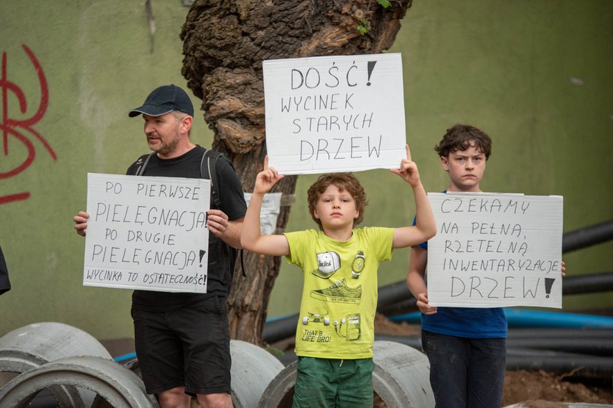 Protest w obronie drzewa przy ulicy Lipowej