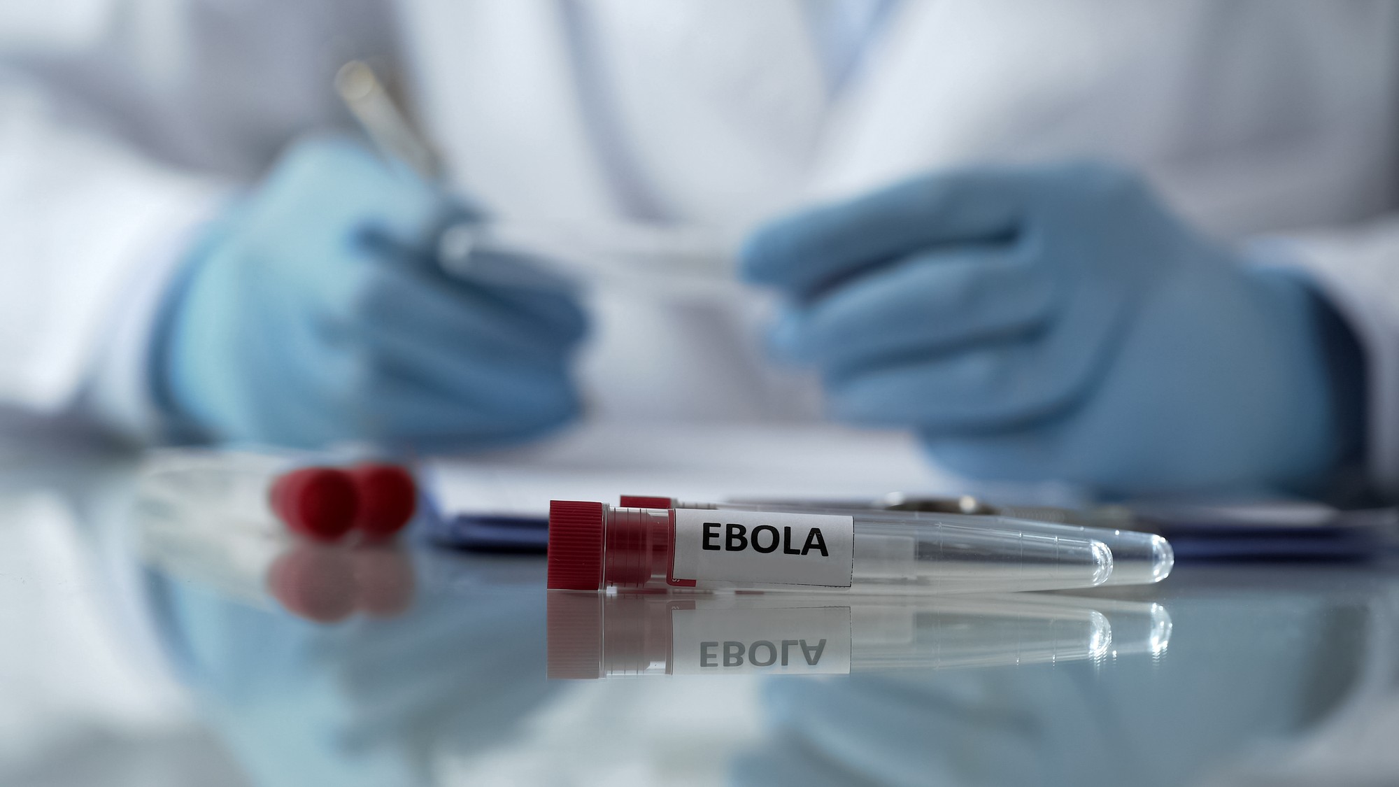 Ebola opäť udrela!  (ilustračné foto)