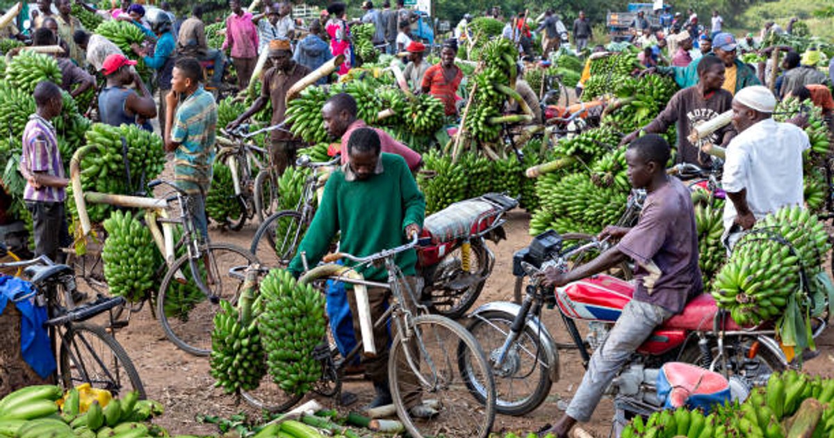 Top 5 famous markets in Kampala and what they are famous for Pulse Uganda