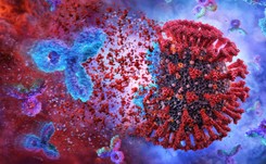 Ciężki przebieg koronawirusa. Badania: Osocze ozdrowieńców daje niewielką korzyść