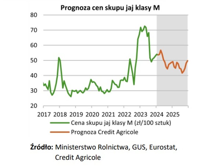 Ekonomiści prognozują utrzymanie trendu spadkowego w cenach skupu jaj