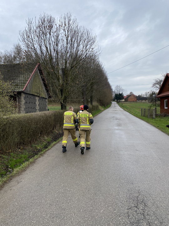 Fałszywy alarm postawił na nogi małopolskich policjantów i strażaków