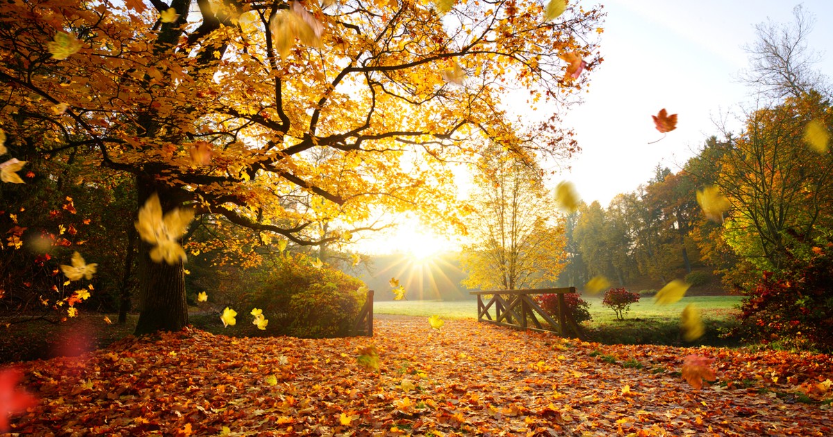 Miła niespodzianka na Wszystkich Świętych. Złota polska jesień wróciła