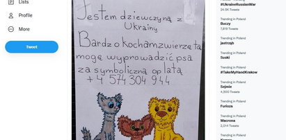 Dziewczynka z Ukrainy rozwiesiła ogłoszenie z ofertą pomocy w wyprowadzaniu psów