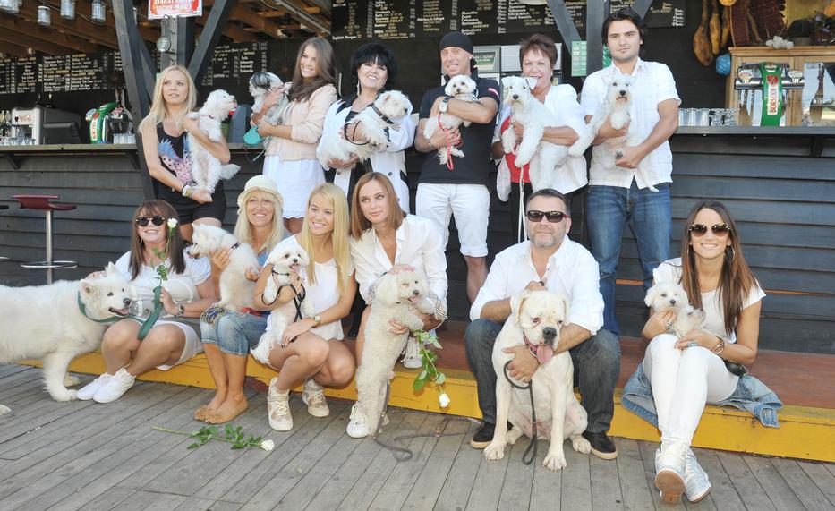 White Dog Party 2013-ban, amelyen Dolly és Cini is részt vettek - fotó: Oláh Csaba/Ringier