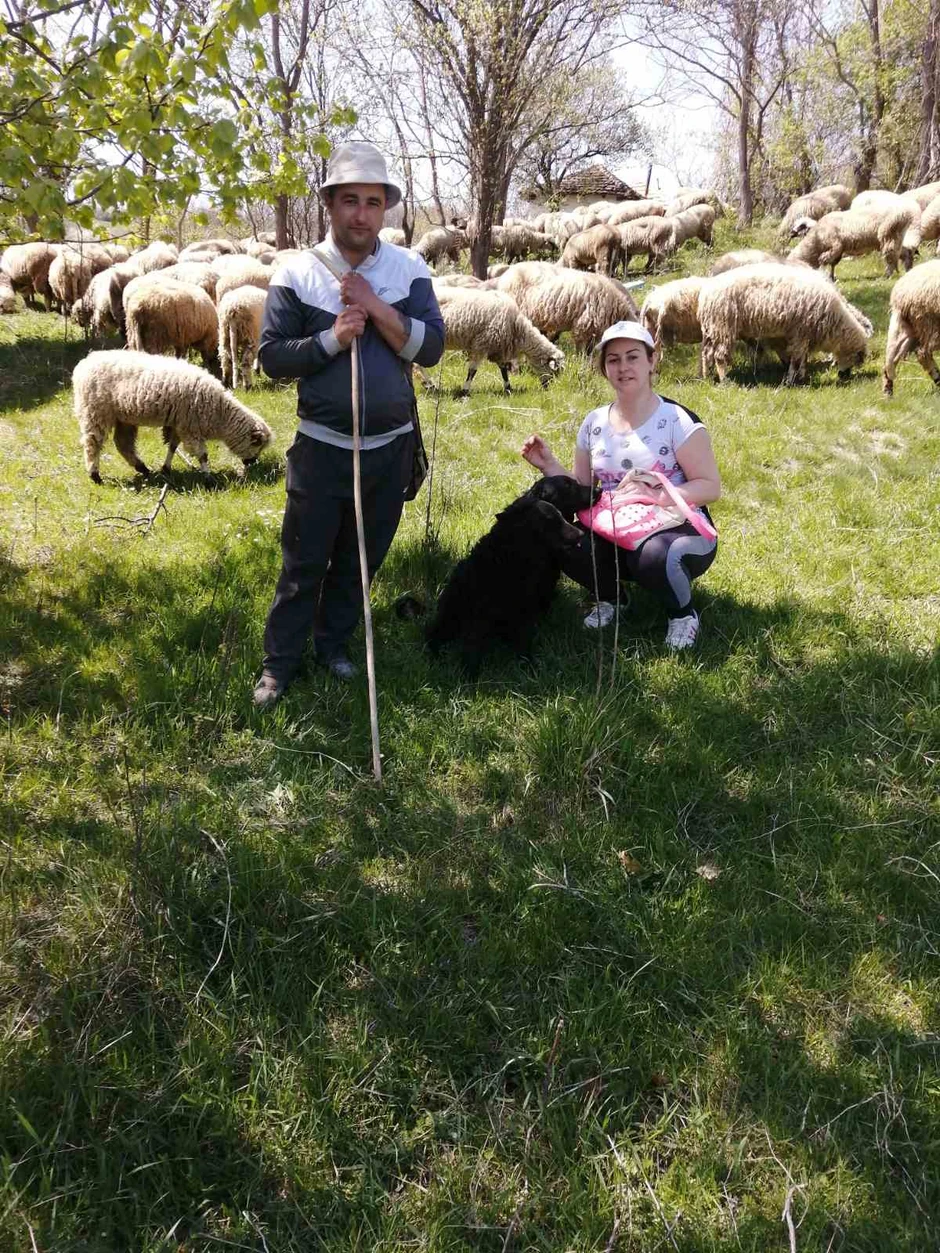 Milica i Dejan u naredne tri godine šire stado na 250 ovaca