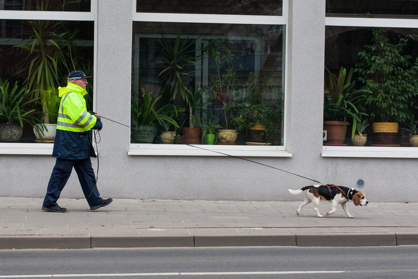 Niemiecka policja pomaga w poszukiwaniach Ewy Tylman