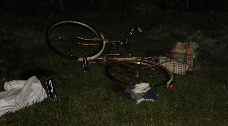 76 éves férfi vesztette életét miután elesett biciklijével / Fotó: Police.hu