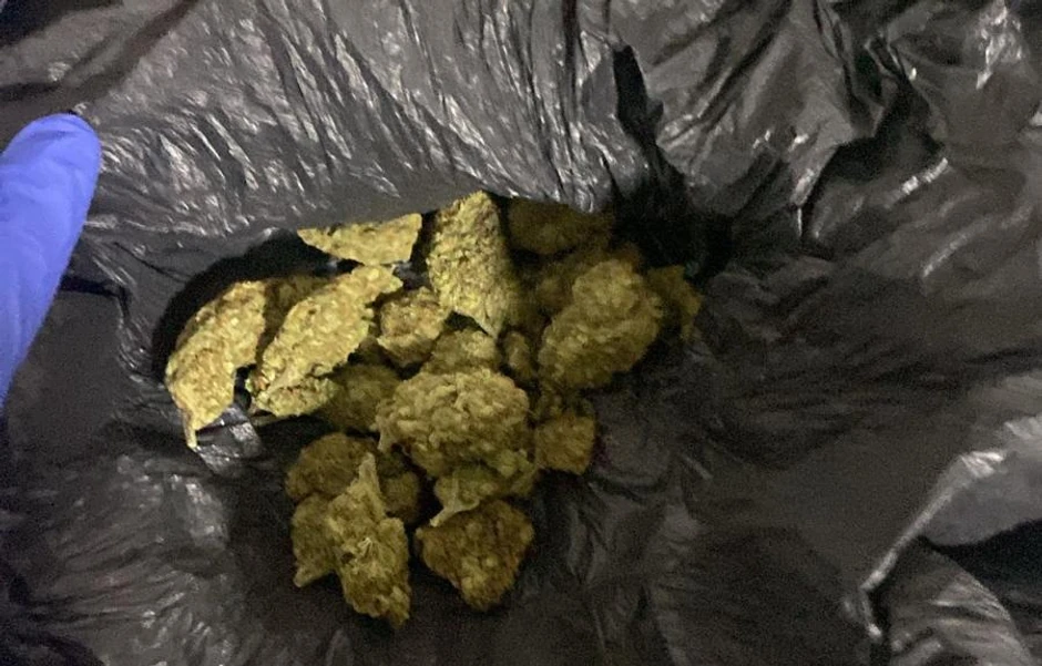 Hapšenje pripadnika Vračarskog klana