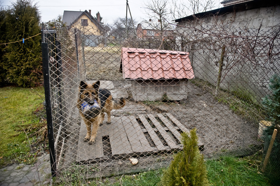 Nowelizacja ustawy o ochronie zwierząt