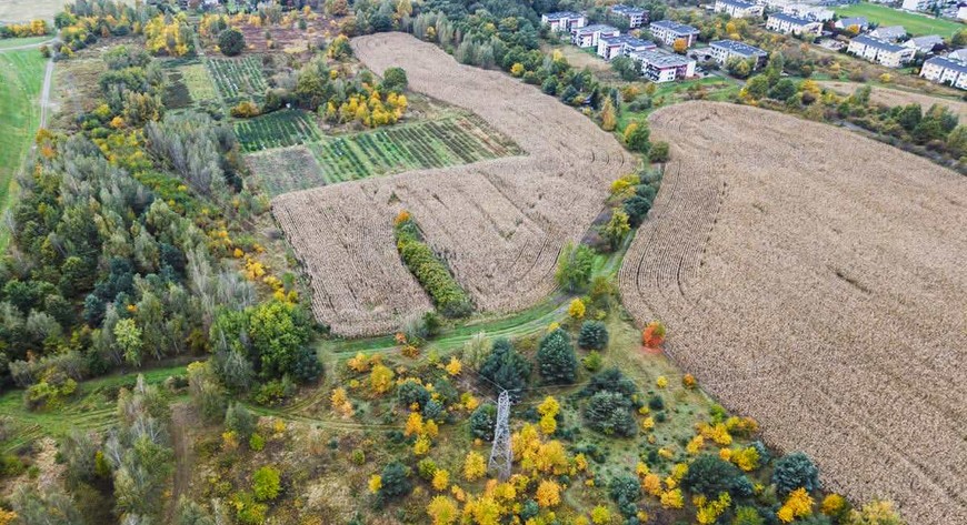 Park na Wojnowie ma powstać w sąsiedztwie ulicy Ubocze