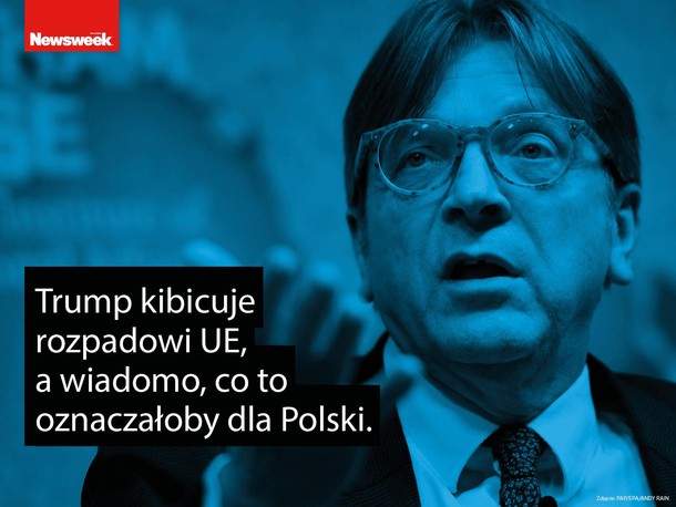 Guy Verhofstadt, Newsweek Polska