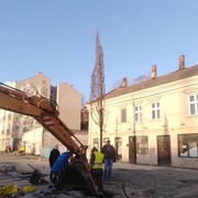 Karađorđeva sadnja drveća
