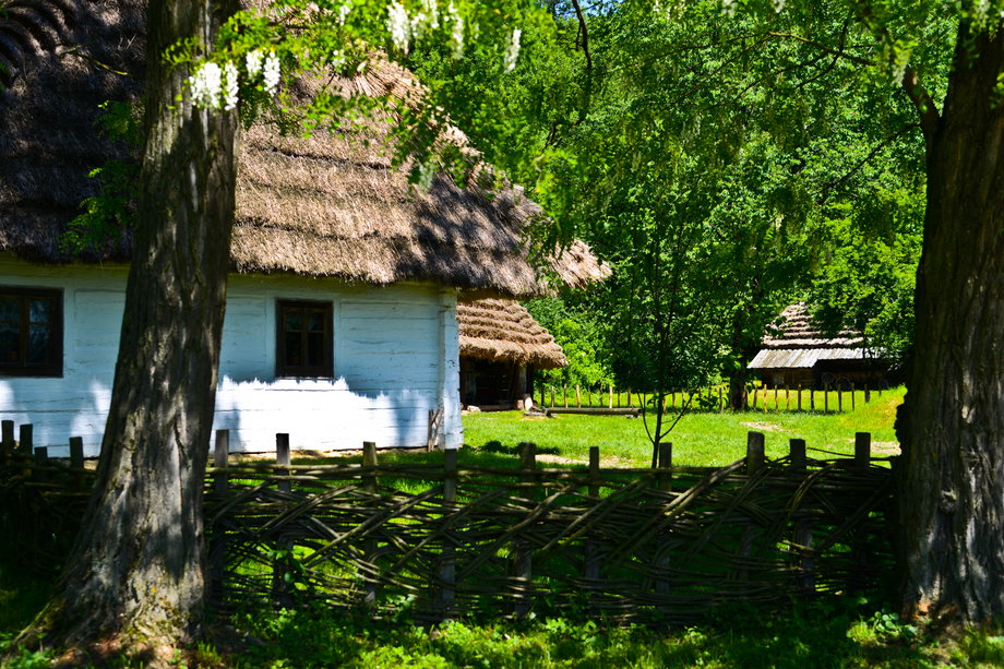 Bieszczady to jeden z najbardziej dzikich i tajemniczych zakątków Polski