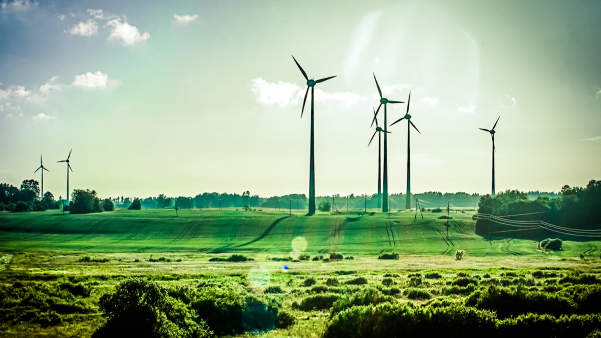 Pierwszy termin kamienia milowego w Krajowym Planie Odbudowy nie został dotrzymany. Polski rząd nie może się zdecydować na odblokowanie inwestycji wiatrowych na lądzie, chociaż sam to zaproponował. Pieniądze z UE stoją zatem pod znakiem zapytania. Kto bogatemu zabroni? — pisze dla Onetu Marcin Kowalczyk*.