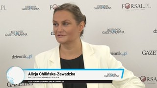 Chilińska-Zawadzka: OZE to energia wolności i niezależności