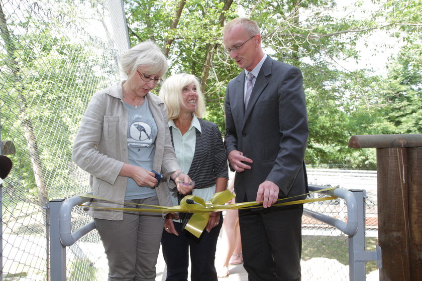 Nowy wybieg dla sępów w łódzkim zoo 