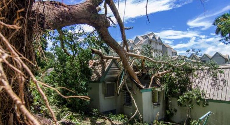 Cyclone-hit remote Fiji islands begin to receive aid, death toll 42