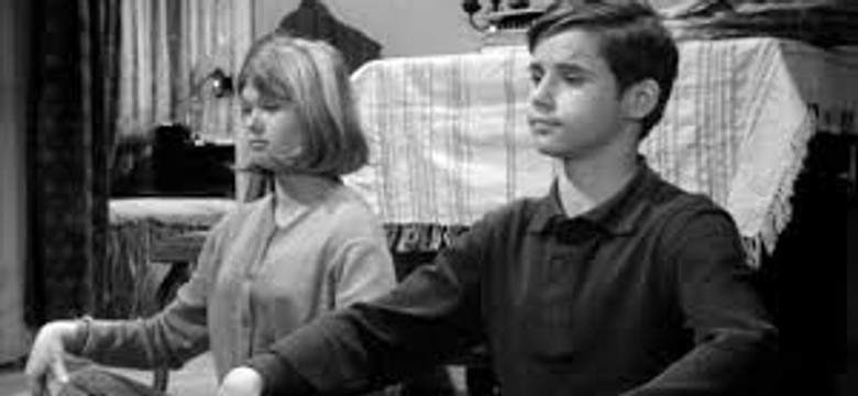 QUIZ: "Wojna domowa" to wielki hit PRL. Tylko fan wygra tę wojnę i dostanie 100 proc.