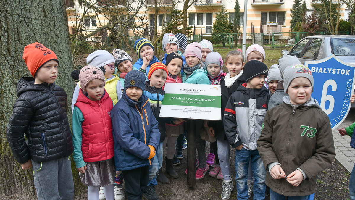 Liczy sobie ponad dwieście lat, ma 326 centymetrów w obwodzie, mierzy 23,5 metra. Od dzisiaj nazywa się Michał Wołodyjowski.