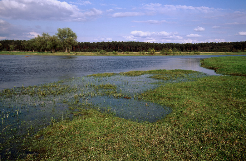 Kamieńczyk, ujście Liwca do Buga, Nadbużański Park Krajobrazowy